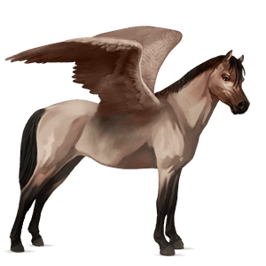 pegasus-ponni welsh blakk