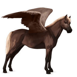 pegasus-ponni svart fuks