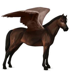 ridepegasus fransk traver svart fuks