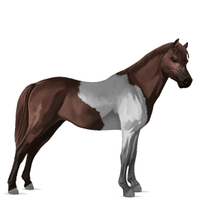 ponni fjording brunblakk