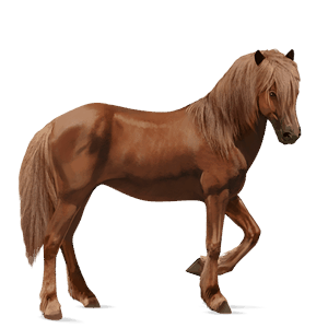 ridehest finsk hest linfarget fuks