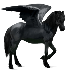 ridepegasus quarter horse svart
