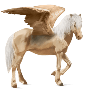 ridepegasus curlyhest brun tobiano