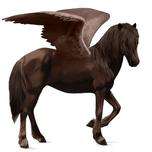ridepegasus nokotahest skimlet