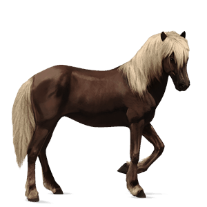 ridehest tinker brun