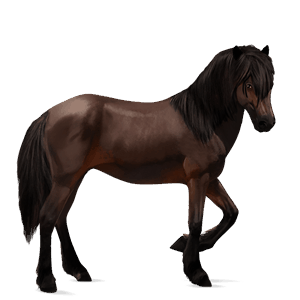 ridehest mustang svart fuks
