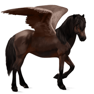 ridepegasus argentinsk criollo svart fuks