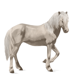 ridehest mustang lys grå
