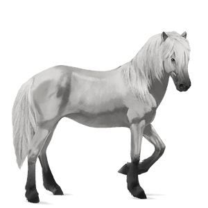 ridehest camargue lys grå