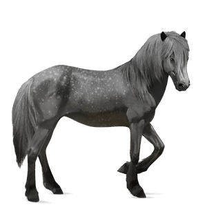 ridehest mustang brun