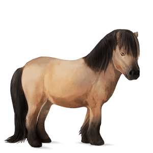 ponni brun tobiano
