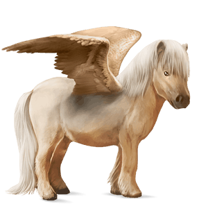 pegasus-ponni shetlandsponni palomino