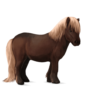 ponni shetlandsponni linfarget leverfuks