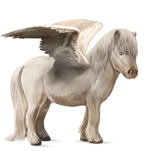 pegasus-ponni shetlandsponni lys grå