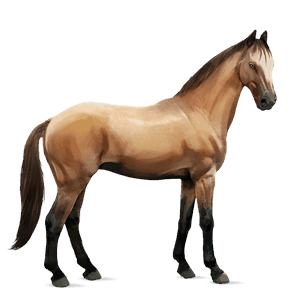 ridehest irsk hunter epleskimmel