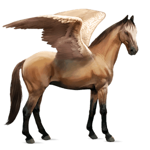 ridepegasus hanoveraner blakk