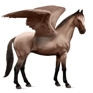 ridepegasus quarter horse fuks
