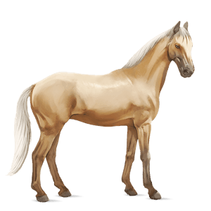 ridehest irsk hunter skimlet