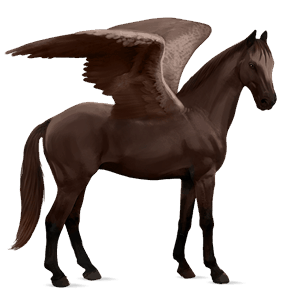ridepegasus berberhest leverfuks