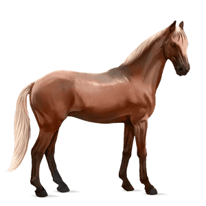 ridehest irsk hunter linfarget fuks