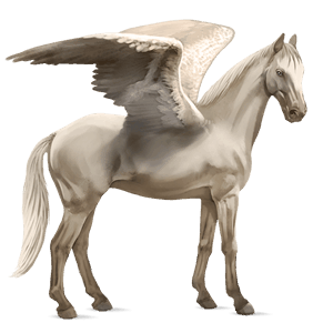 ridepegasus shagya araber lys grå