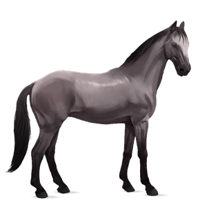 ridehest quarter horse fuks