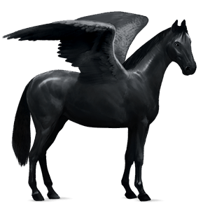 ridepegasus tysk ridehest svart