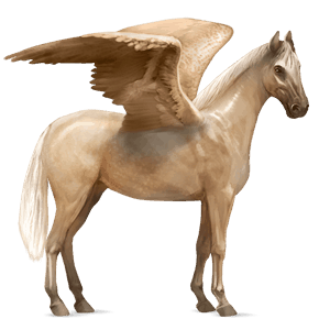ridepegasus selle français palomino