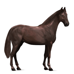 ridehest hanoveraner leverfuks