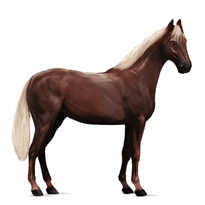 ridehest svart