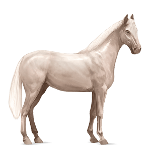 ridehest appaloosa palomino med flekkete teppe