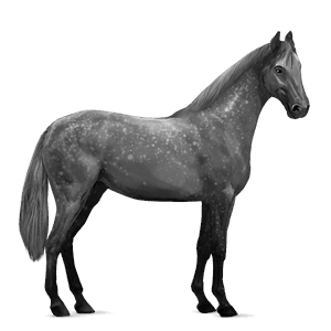 ridehest hanoveraner epleskimmel