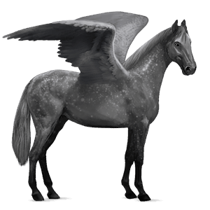 ridepegasus quarter horse fuks