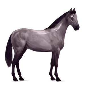 ridehest epleskimmel