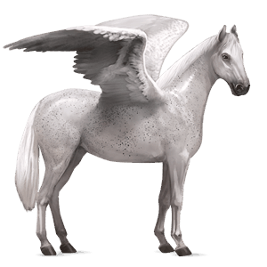 ridepegasus quarter horse rødbrun