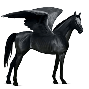 ridepegasus arabisk hest svart