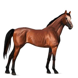 ridehest epleskimmel