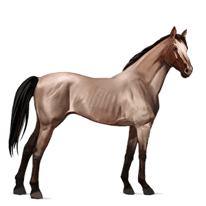 ridehest fullblodshest skimlet