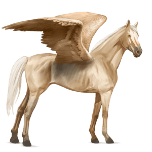 ridepegasus cremello
