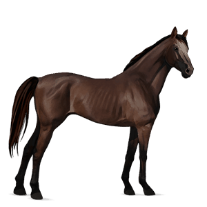 ridehest fullblodshest leverfuks