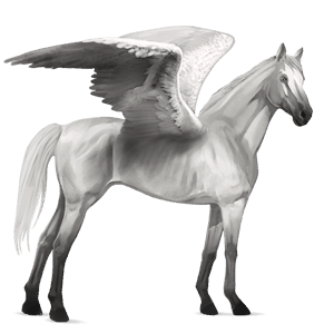 ridepegasus lys grå