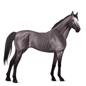 ridehest mustang rødbrun