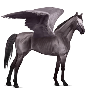 ridepegasus selle français musegrå