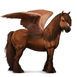 ridepegasus argentinsk criollo rødbrun