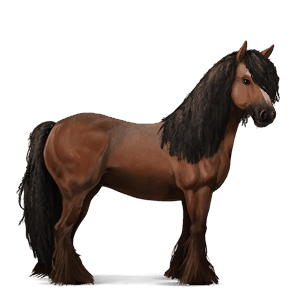 ridehest tinker brun