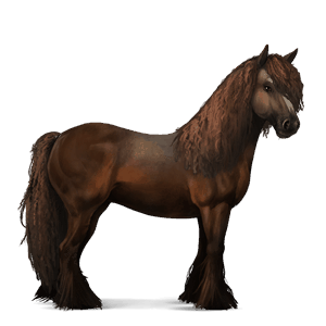 ridehest islandshest leverfuks