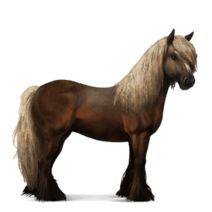 ridehest tinker svart