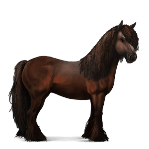 ridehest tinker brun