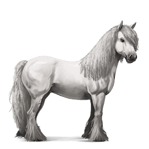 ridehest tennessee walker lys grå