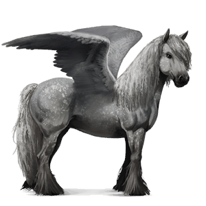 ridepegasus tinker tobiano svart flekket